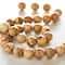 Natural Picture Jasper Round Beads, 8mm by Bead Landing™
